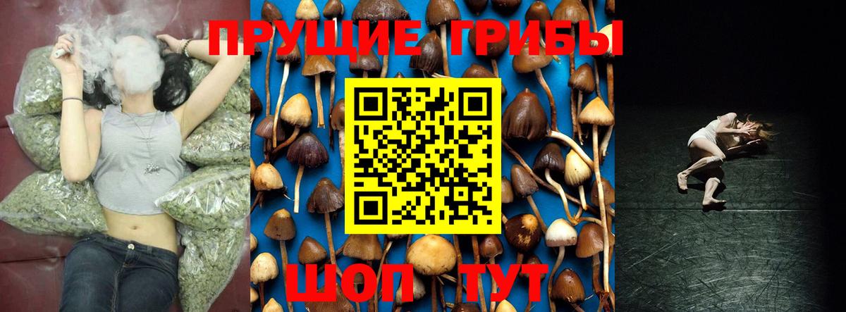 Галлюциногенные грибы Psilocybine cubensis Касимов